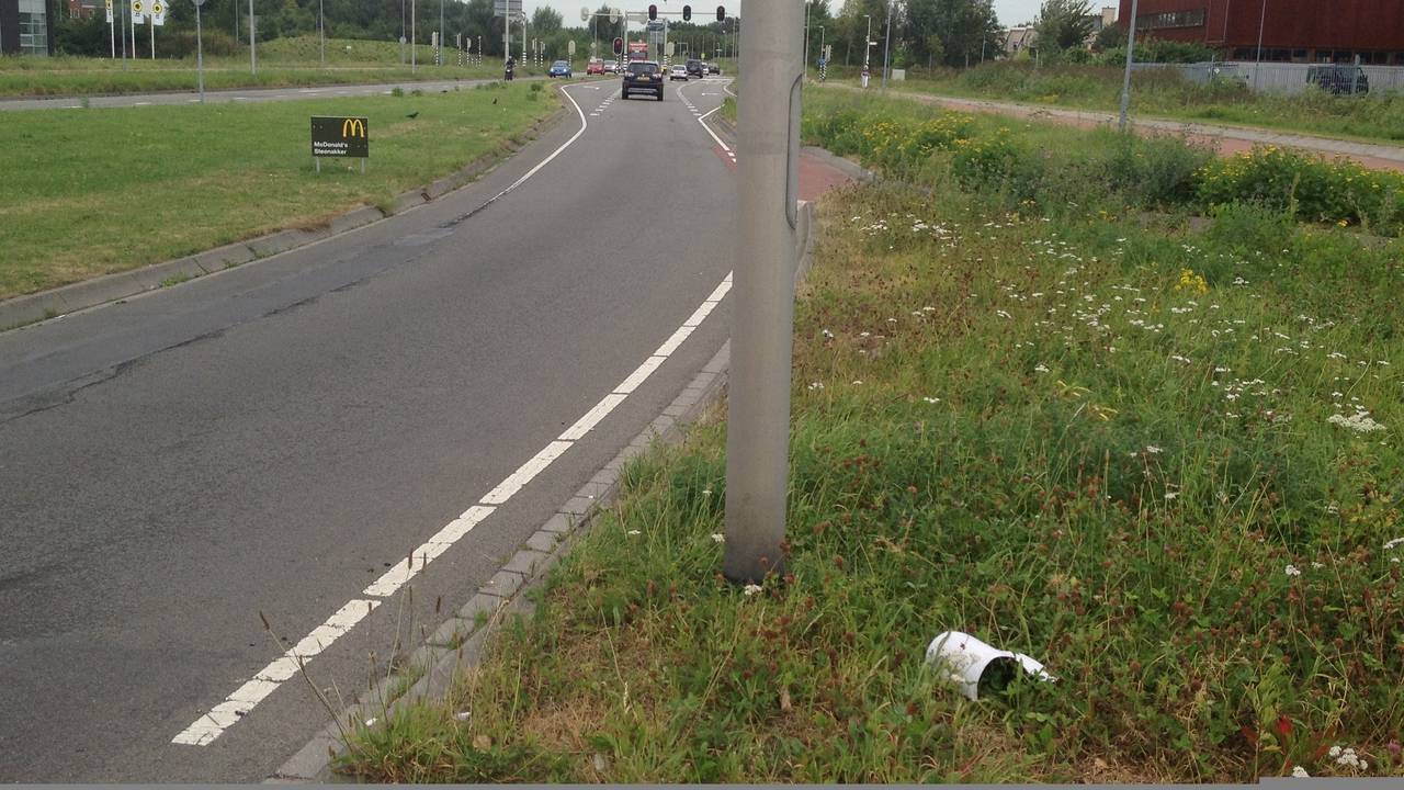 Contrast geadopteerde en niet geadopteerde bermen