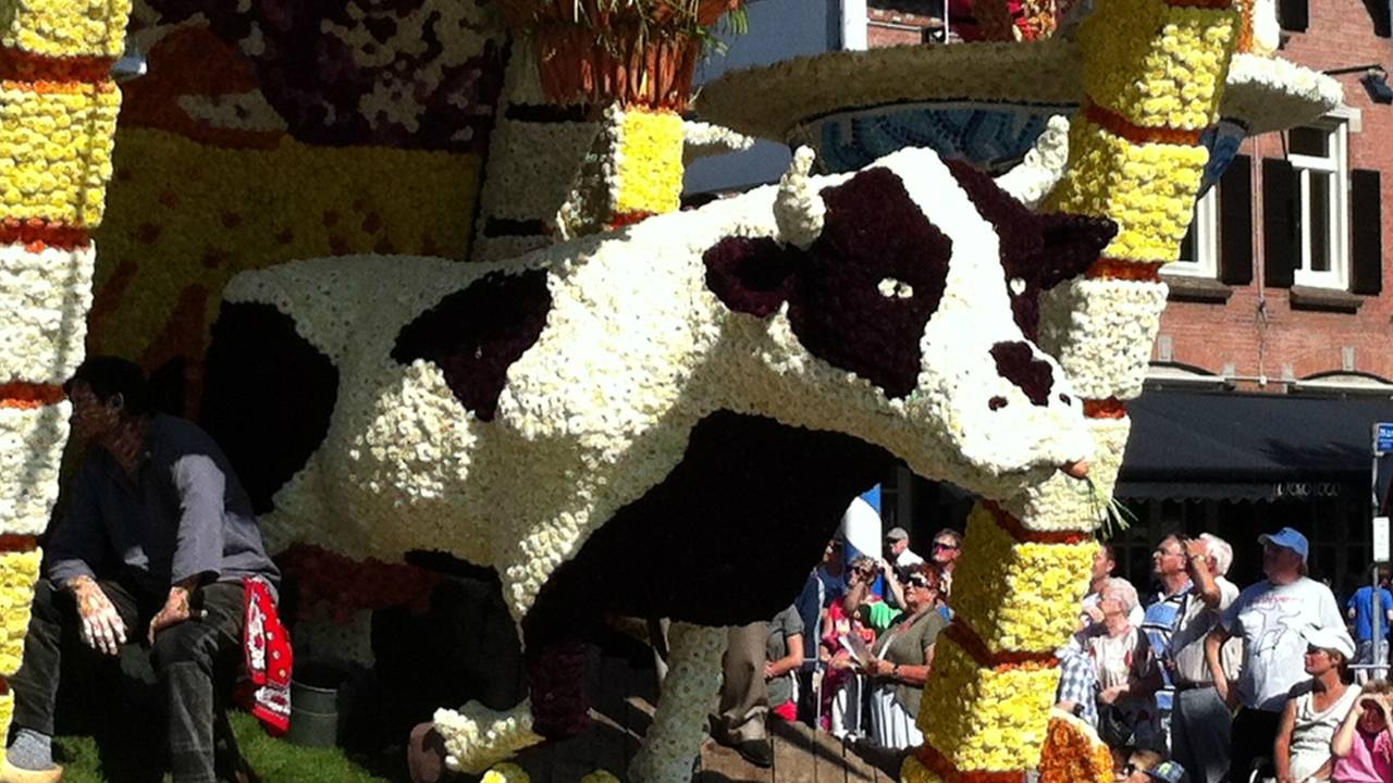 Bloemencorso in Valkenswaard
