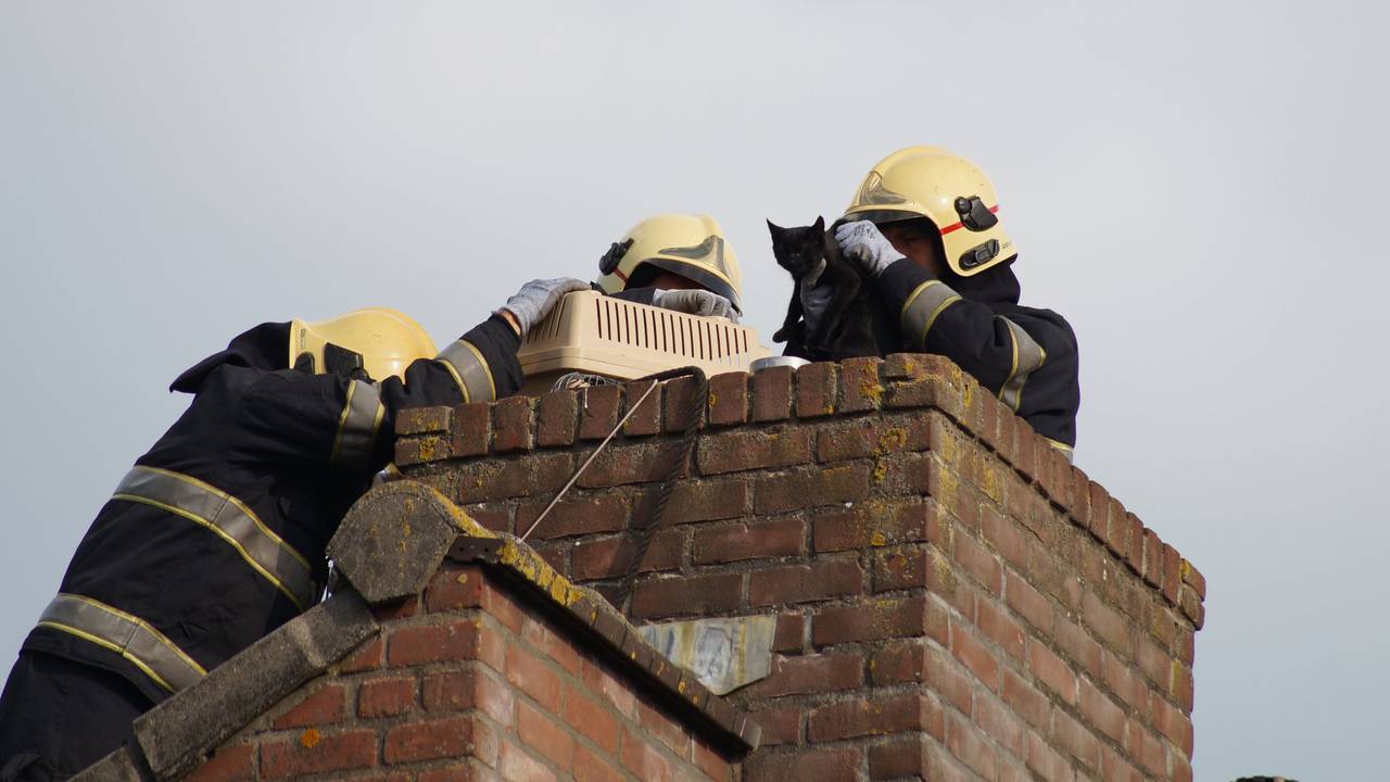 De brandweer haalde katje uit schoorsteen (foto: Martijn van Bijnen/FPMB)