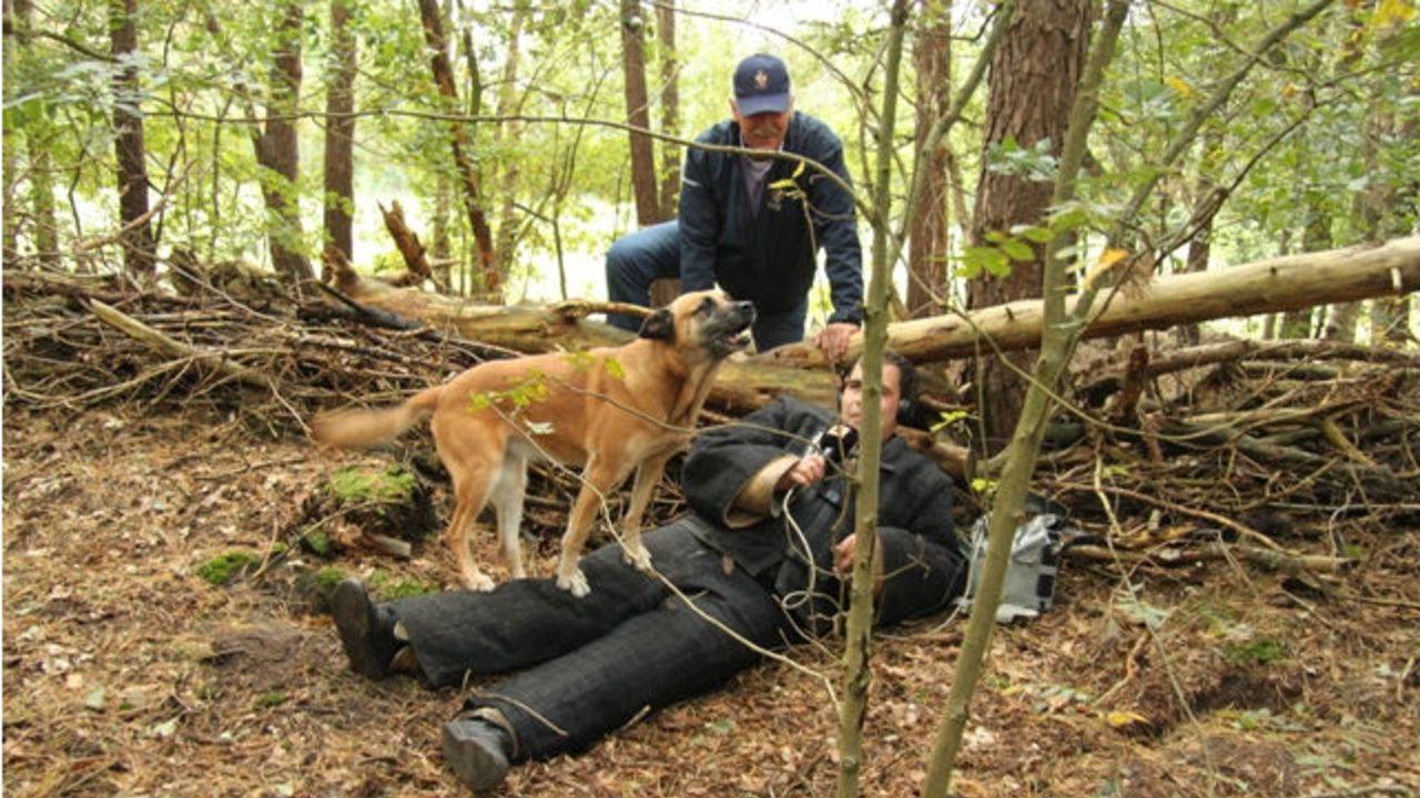Politiehond in actie