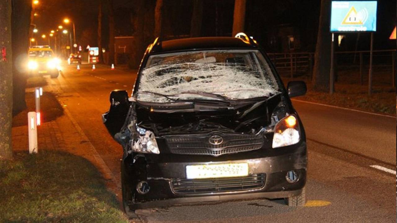 Teller blijft oplopen: dit jaar waarschijnlijk duizend reeën op