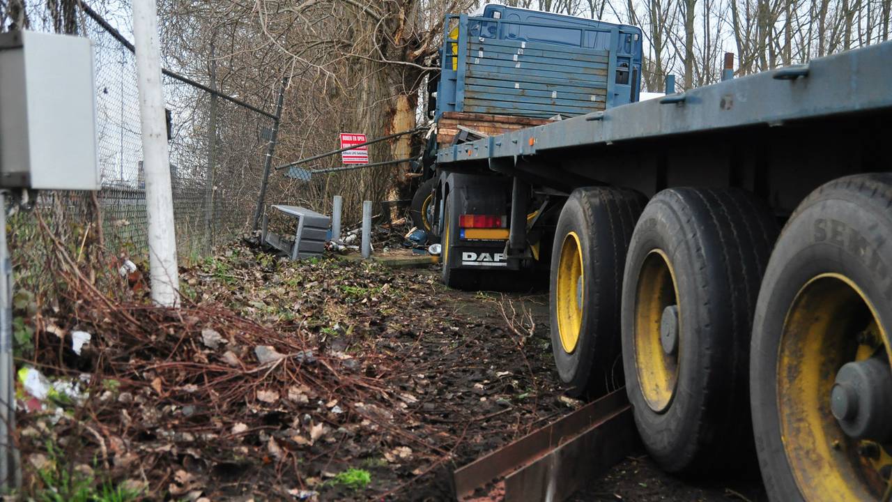 Door een hek, tegen een boom. (Foto: Marvin Doreleijers/FPMB)