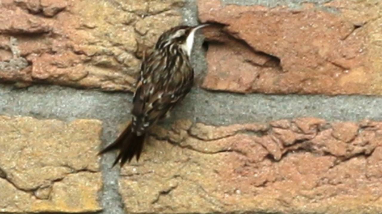 Ga naar slide 2