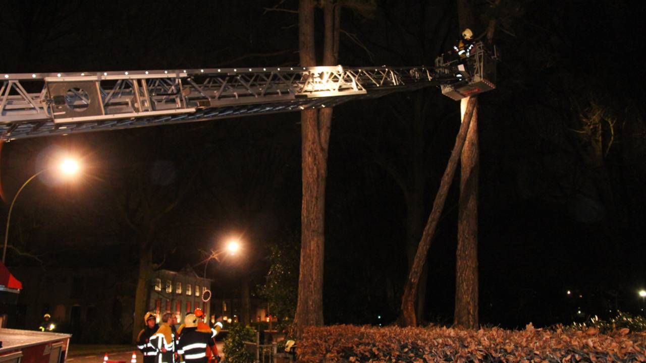 Brandweer zaagt boom om (Foto: Mathijs Bertens/Mainstay Media Breda)