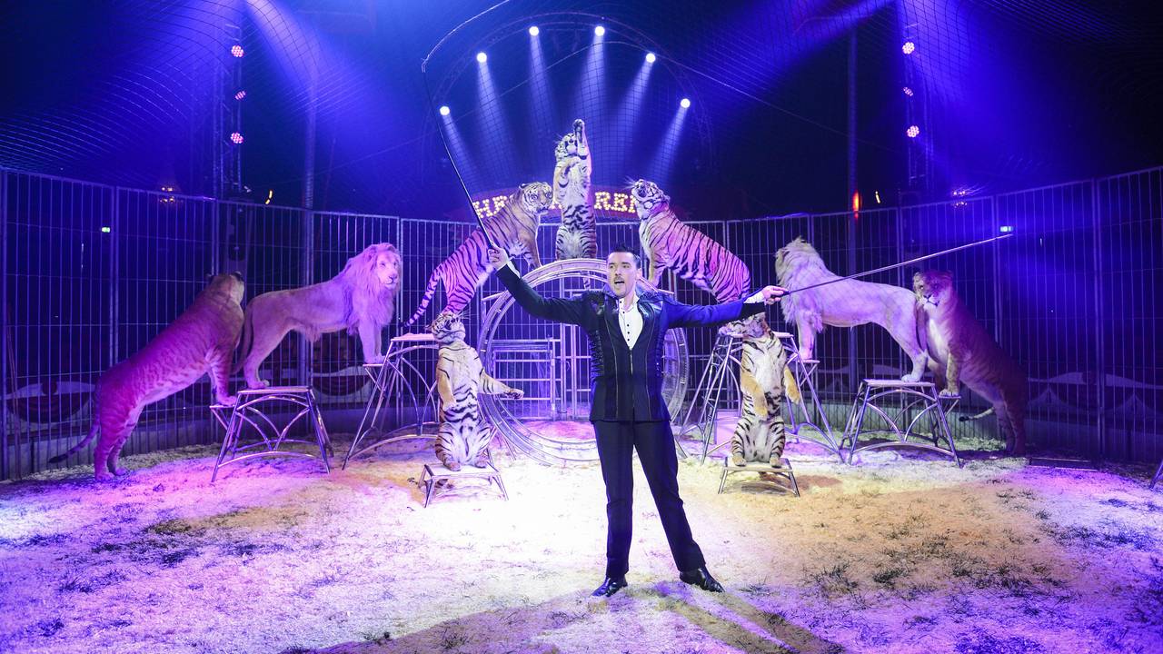Opbrengst benefietconcert Circus Renz: 15.000 euro.