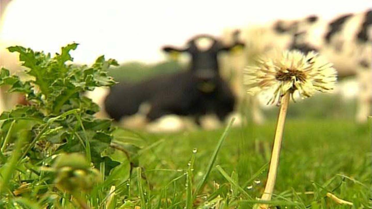 Hilvarenbeek is groen, maar niet groen genoeg