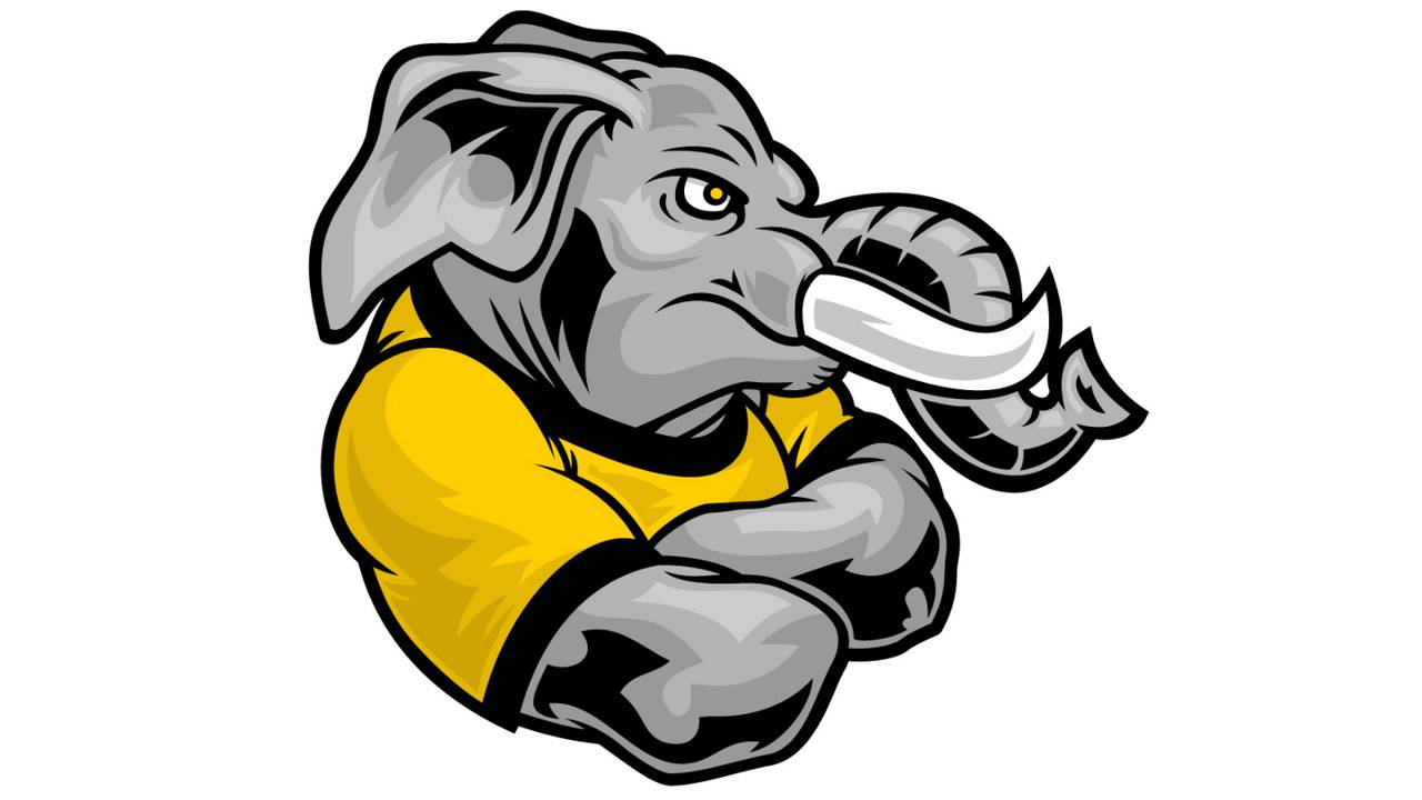 Actiegroep De Geel Zwarte Olifant