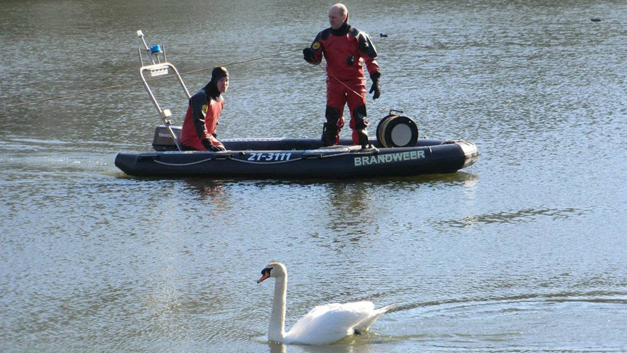 Brandweer probeert zwaan te redden (foto: GinoPress)