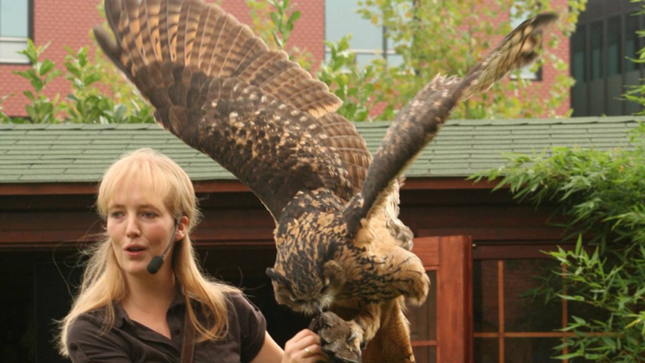 Oehoe Max in actie bij de Oliemeulen. (Foto: De Oliemeulen)