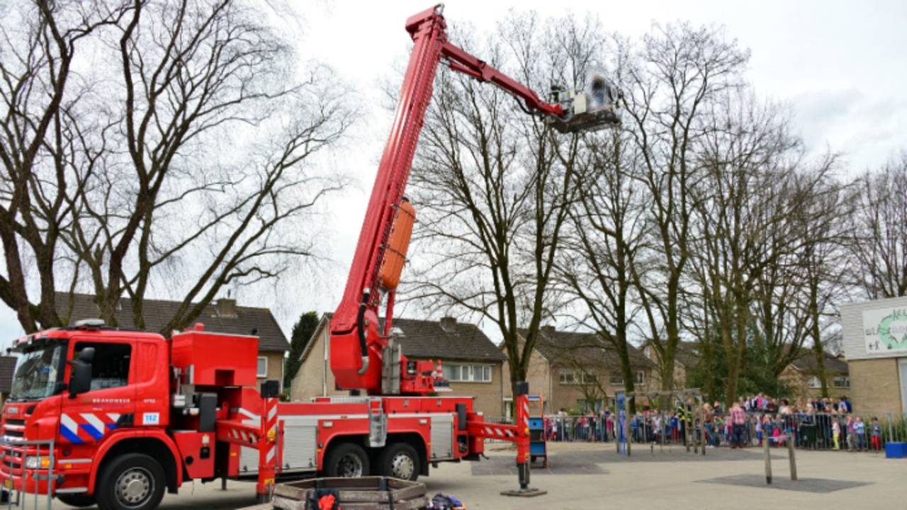 Hierrrrrr poesje poesje! (foto: Jules Vorselaars, JV Media)