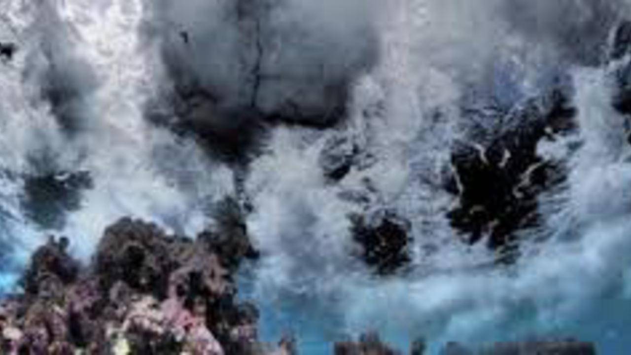 (Foto: Aquanauten.nl)