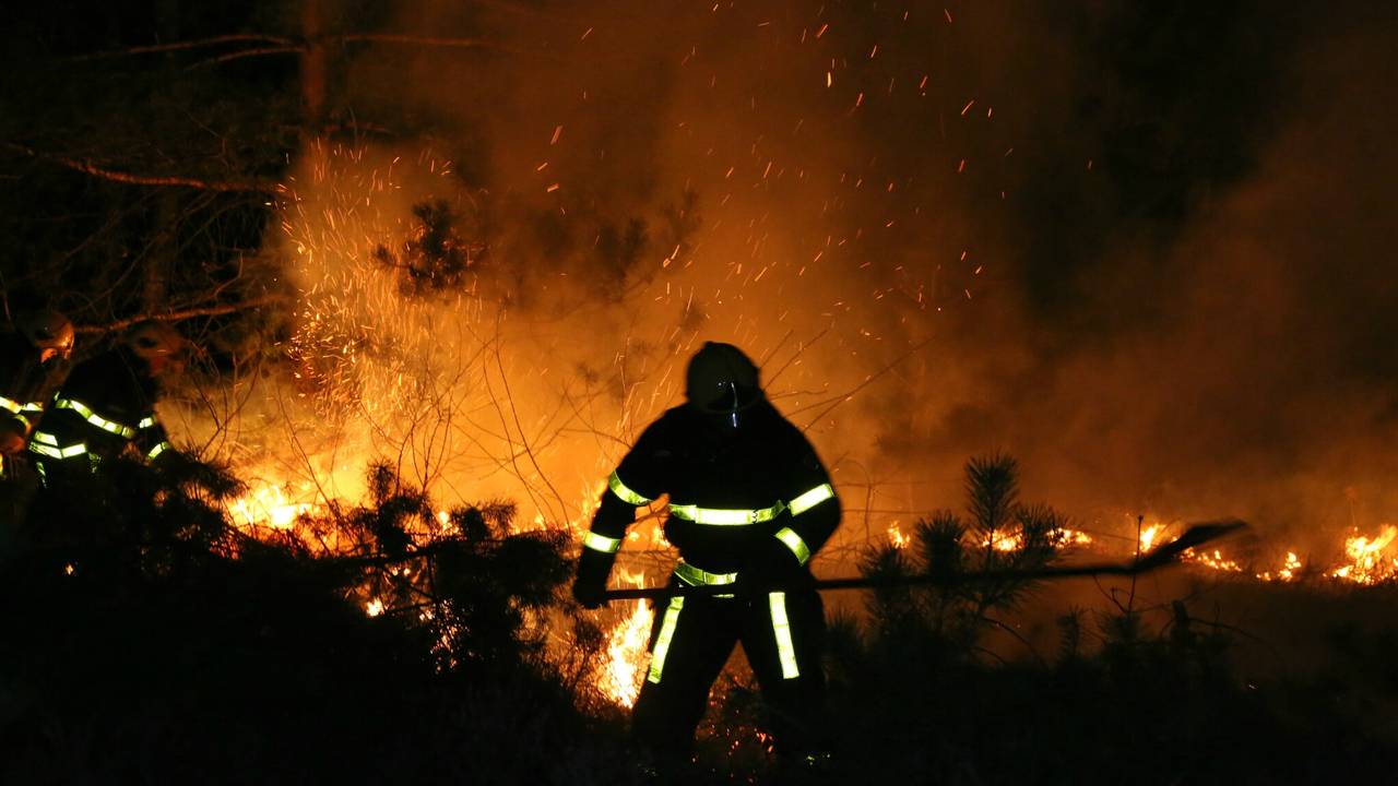 Natuurbrand in Loon op Zand (foto: Erik Haverhals/FPMB)