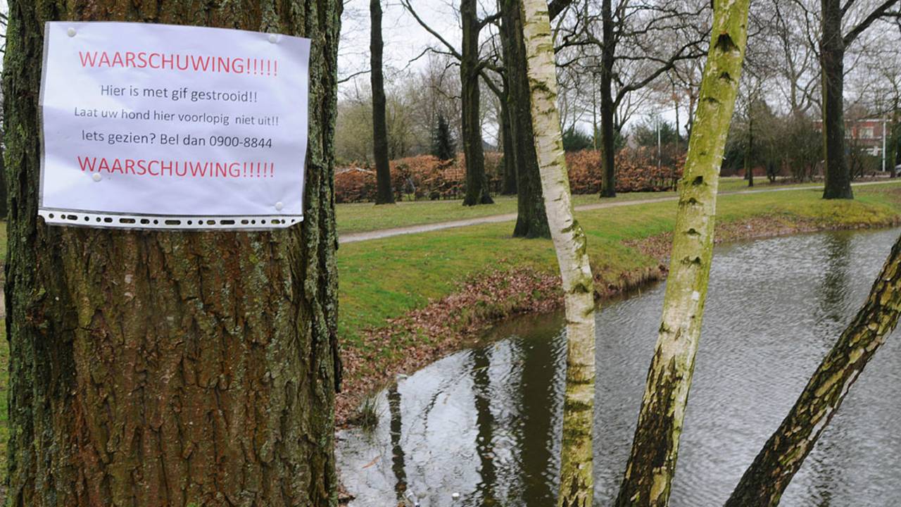 Foto: Arno van der Linden (SQ Vision)