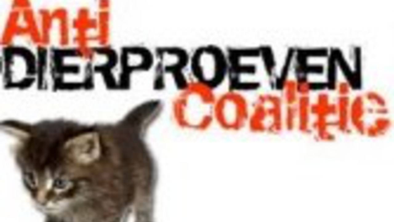 Anti Dierproeven Coalitie: honden weg bij Intervet.