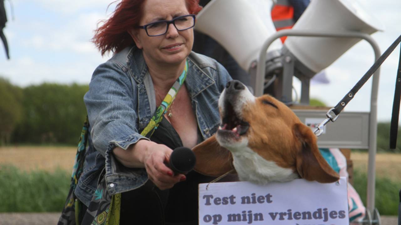 Hondenprotest in Escharen (Foto: Marco van den Broek/SQ Vision)