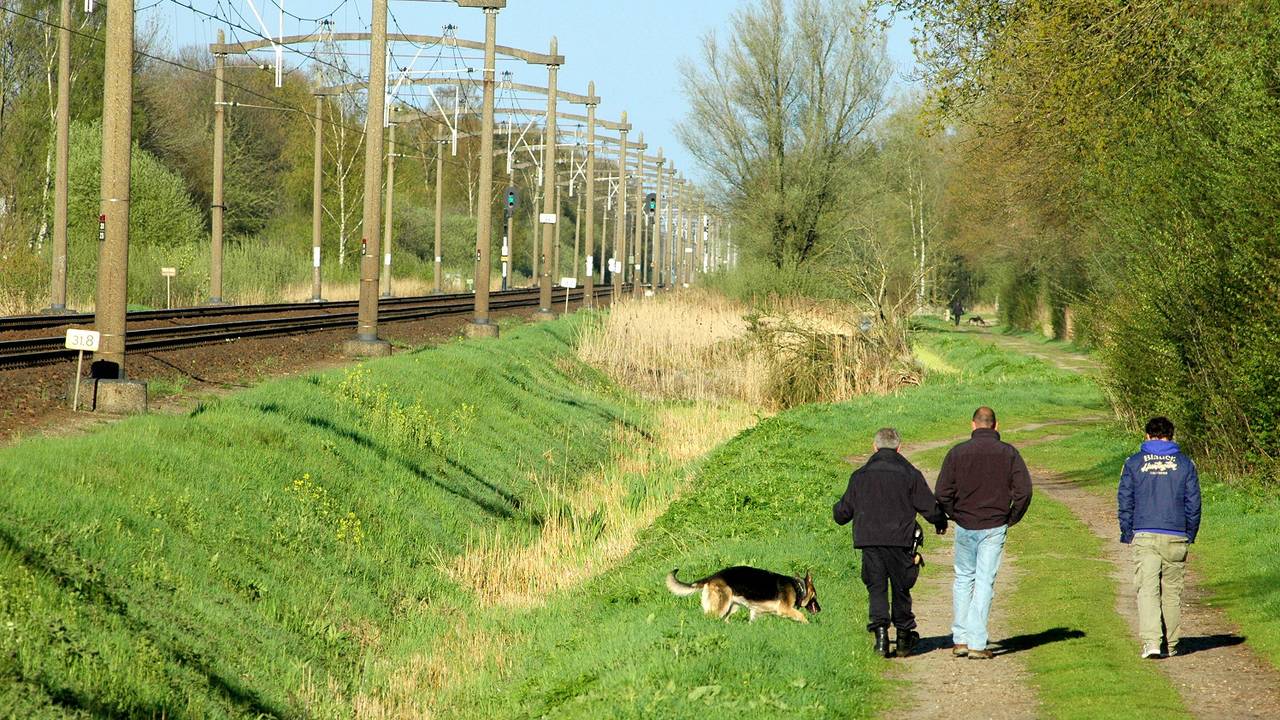 Ga naar slide 2