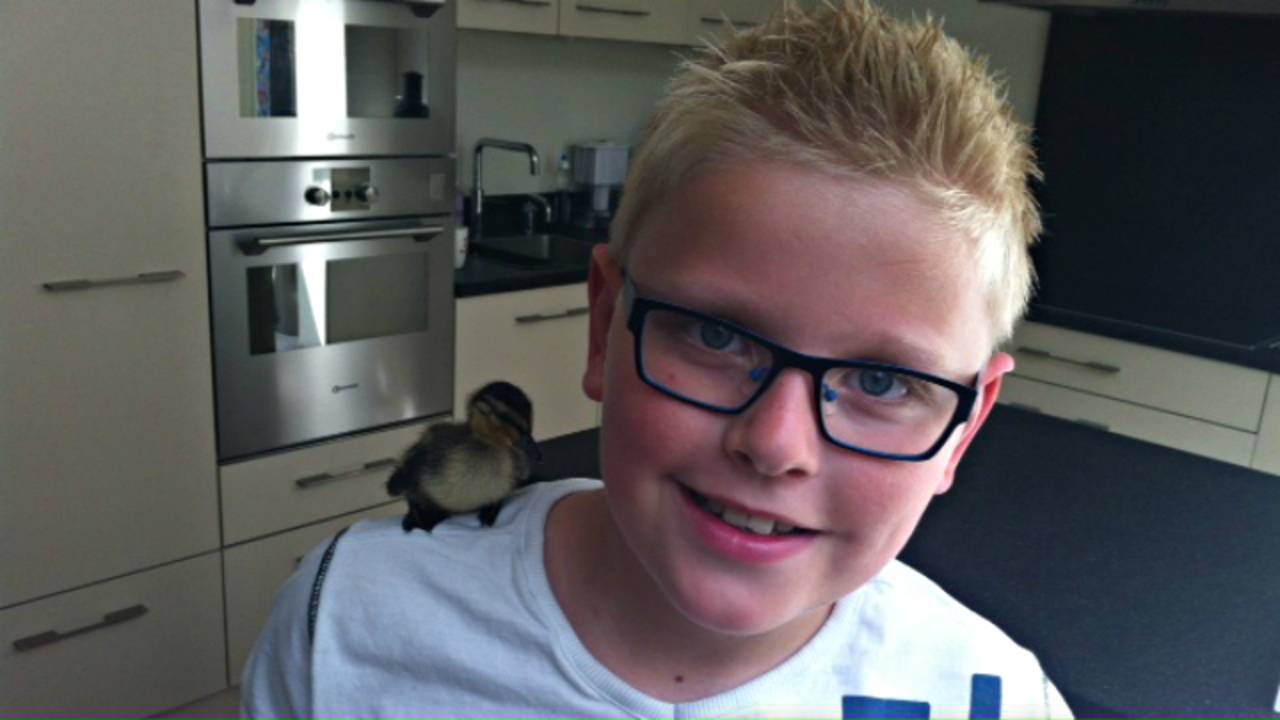 Ga naar slide 1