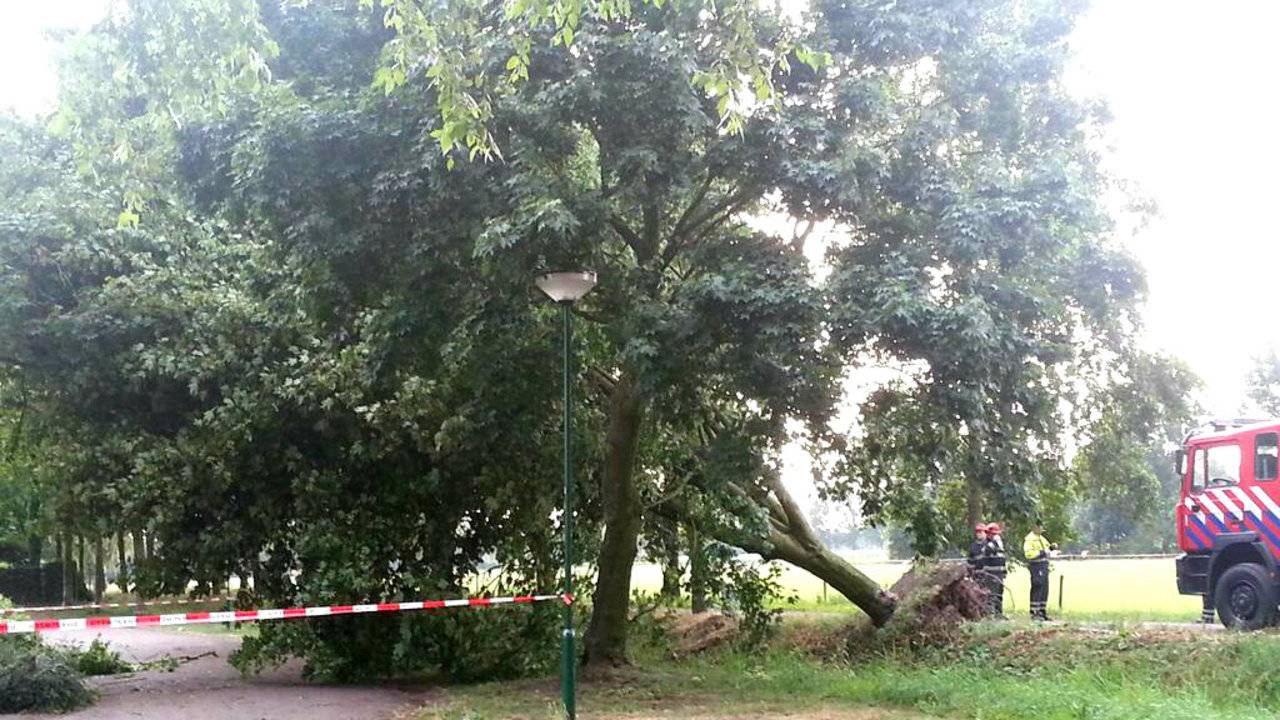 Ga naar slide 6