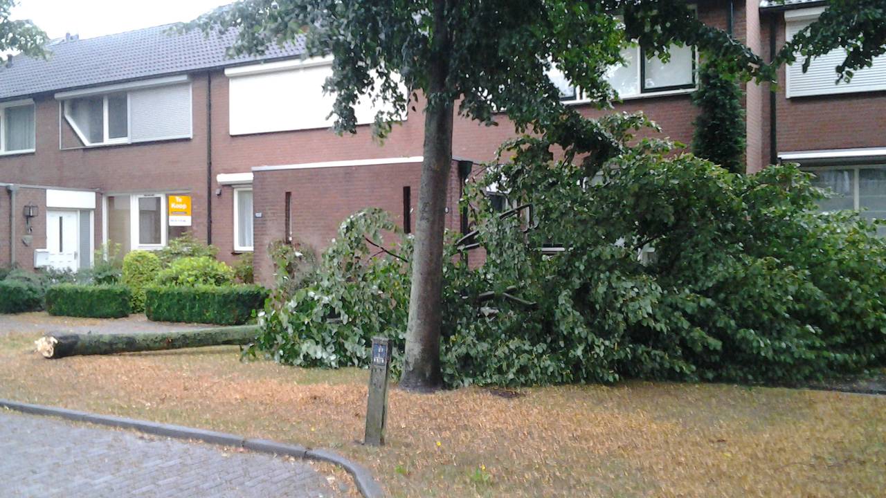 Ga naar slide 9