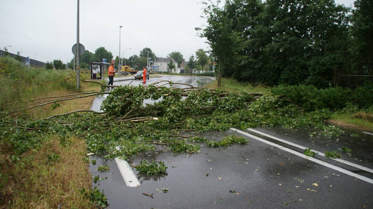 Ga naar slide 20