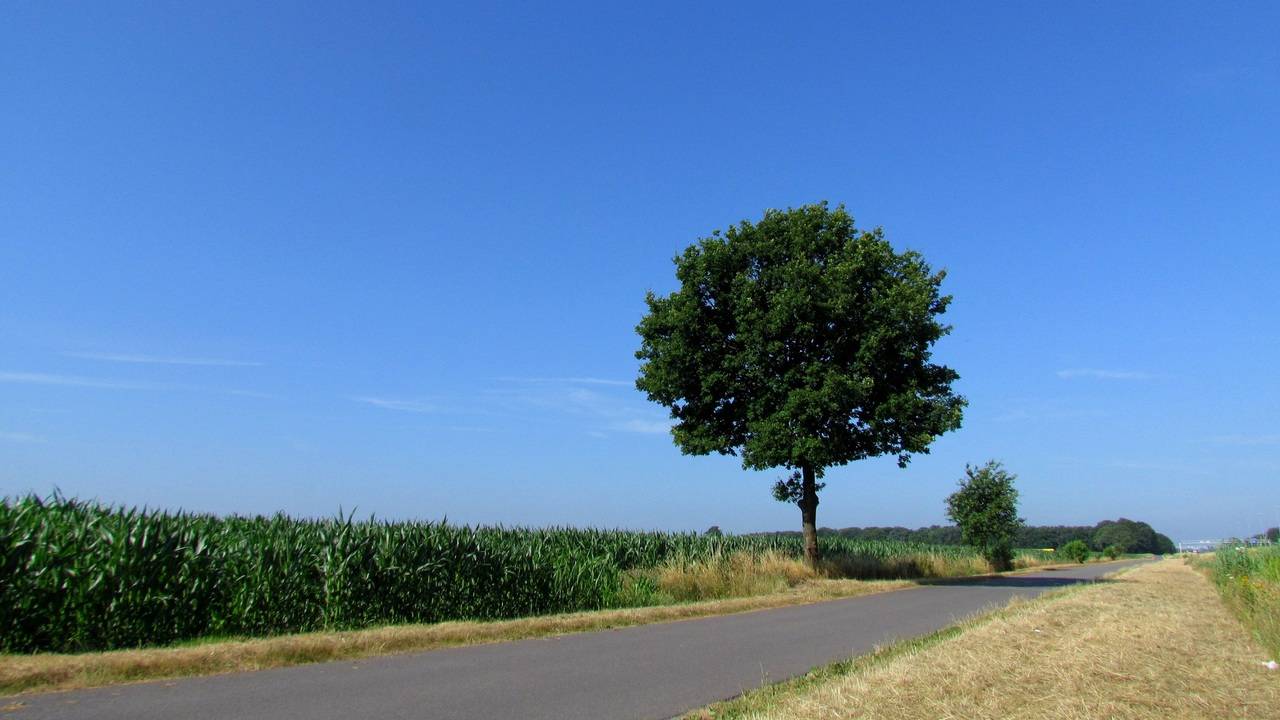 Ga naar slide 4
