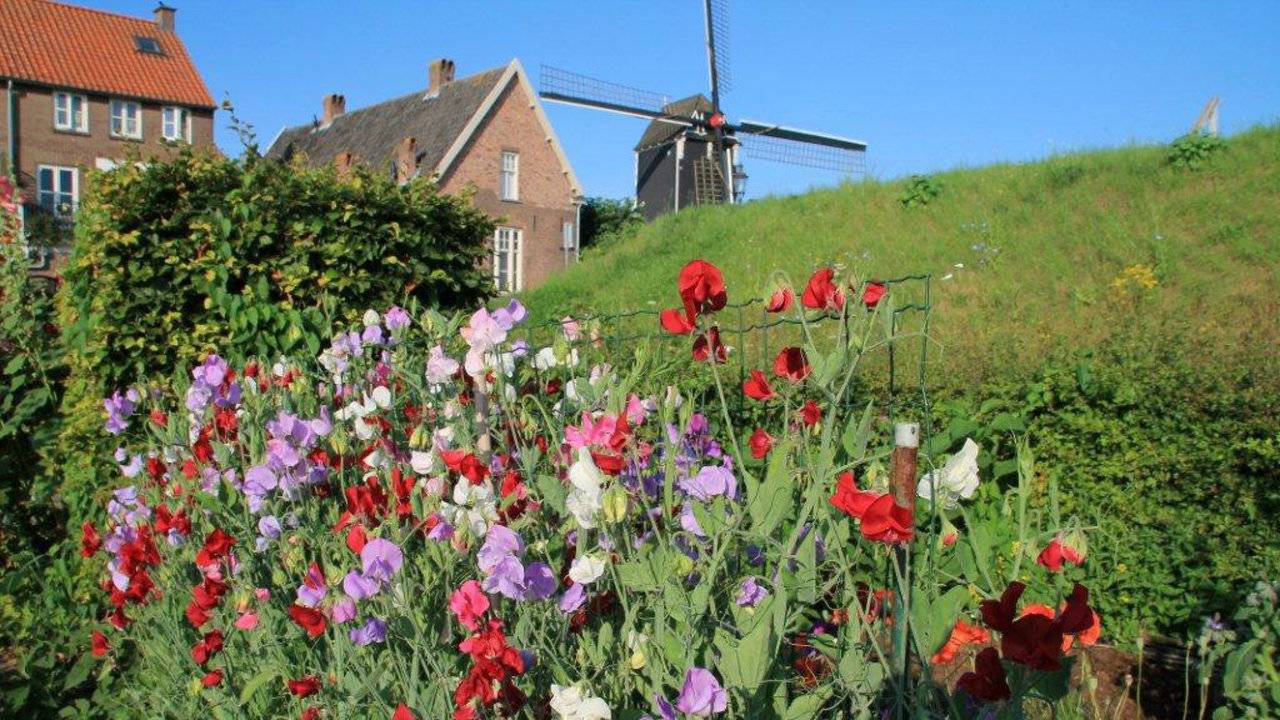 Ga naar slide 2