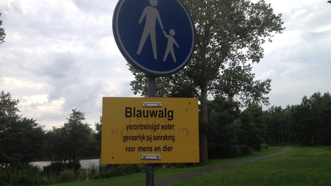 Ga naar slide 1