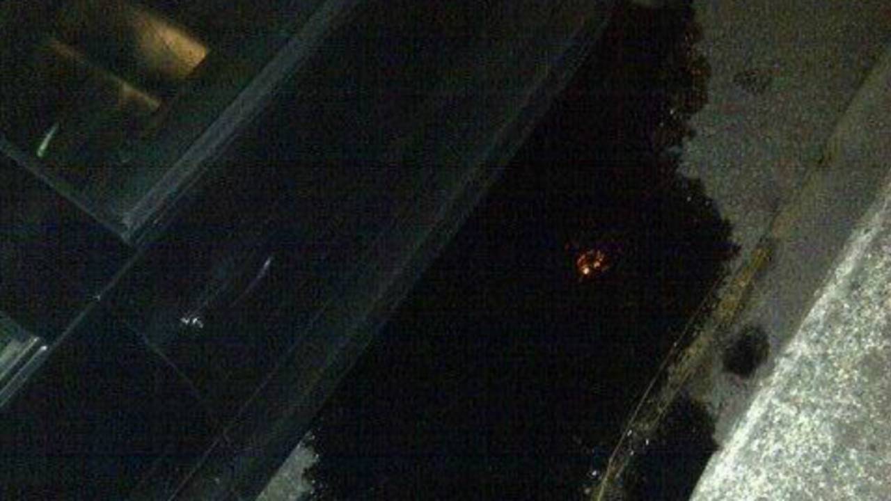 Foto: Twitter/Gerrit van Zanten