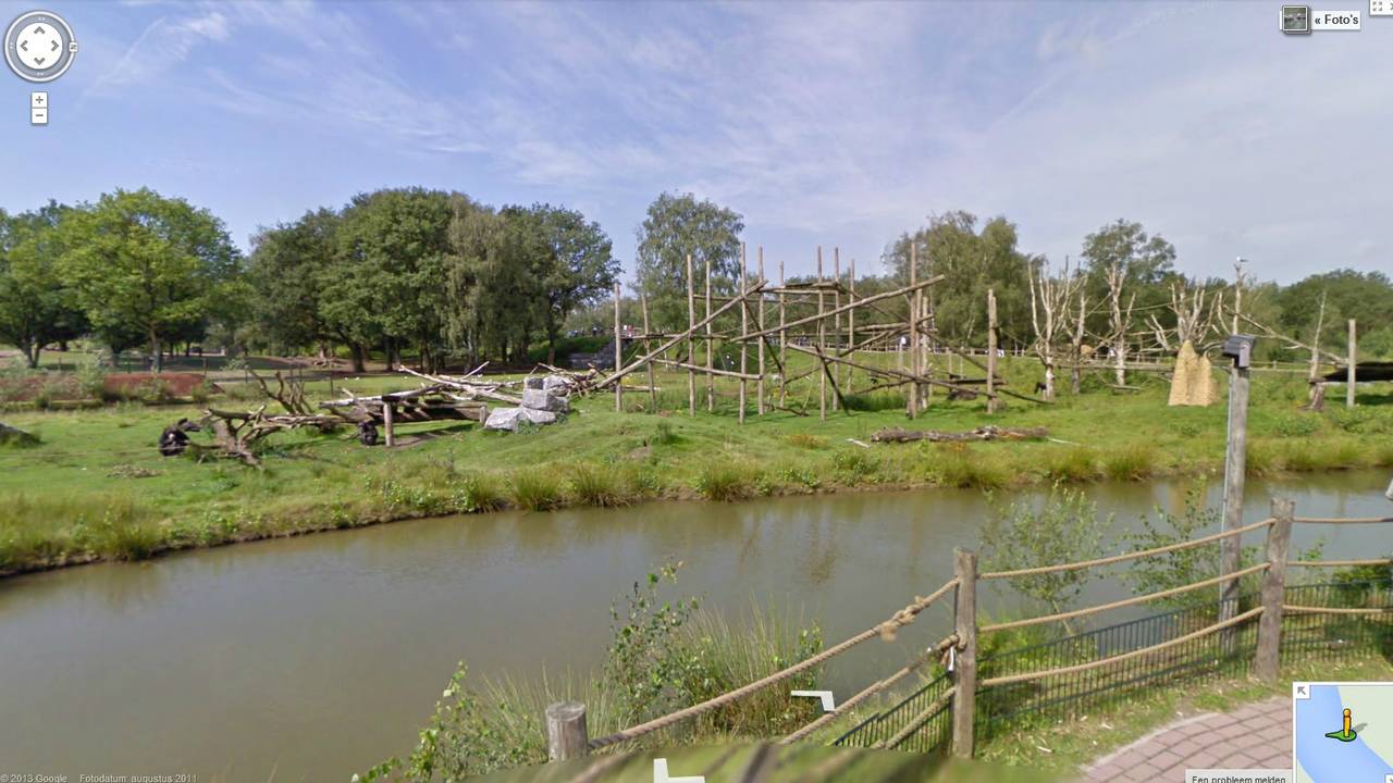 Aapjes kijken op Google Street View