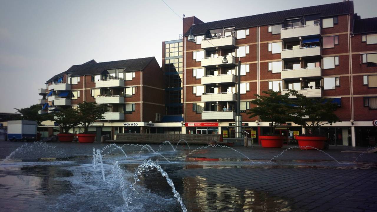 Foto: René van Hoof