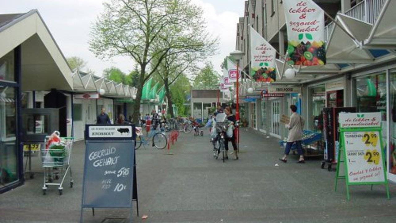 Oost-Europeanen actief in winkelcentrum Drossaard