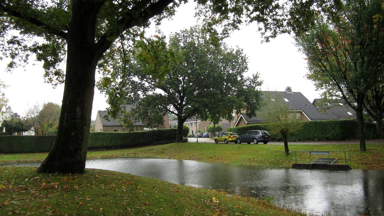 Ga naar slide 5