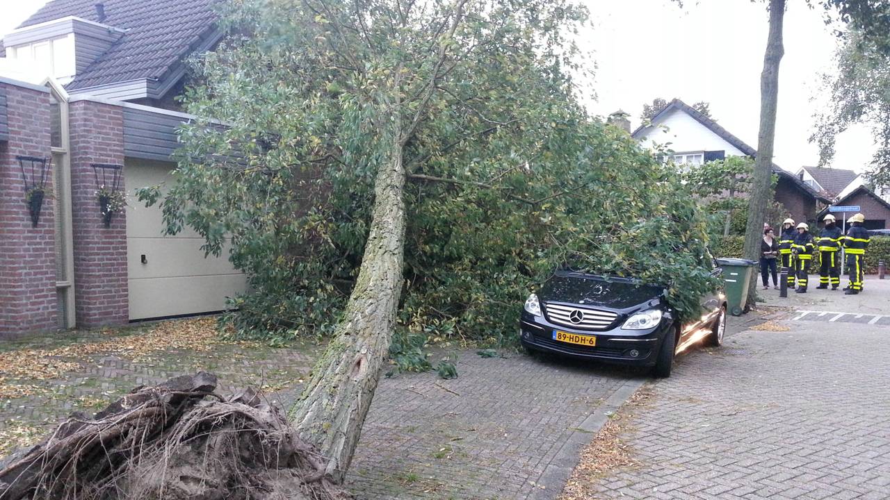 Stormschade: meldingen op tientallen plaatsen in Brabant