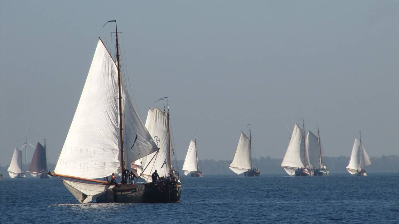 Zeilen op het Volkerak