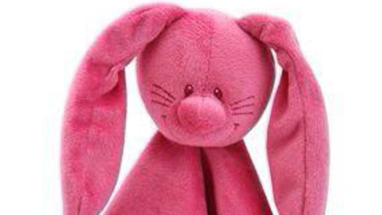 Knuffelkonijn gezocht (foto: Dave Stolk/Twitter)