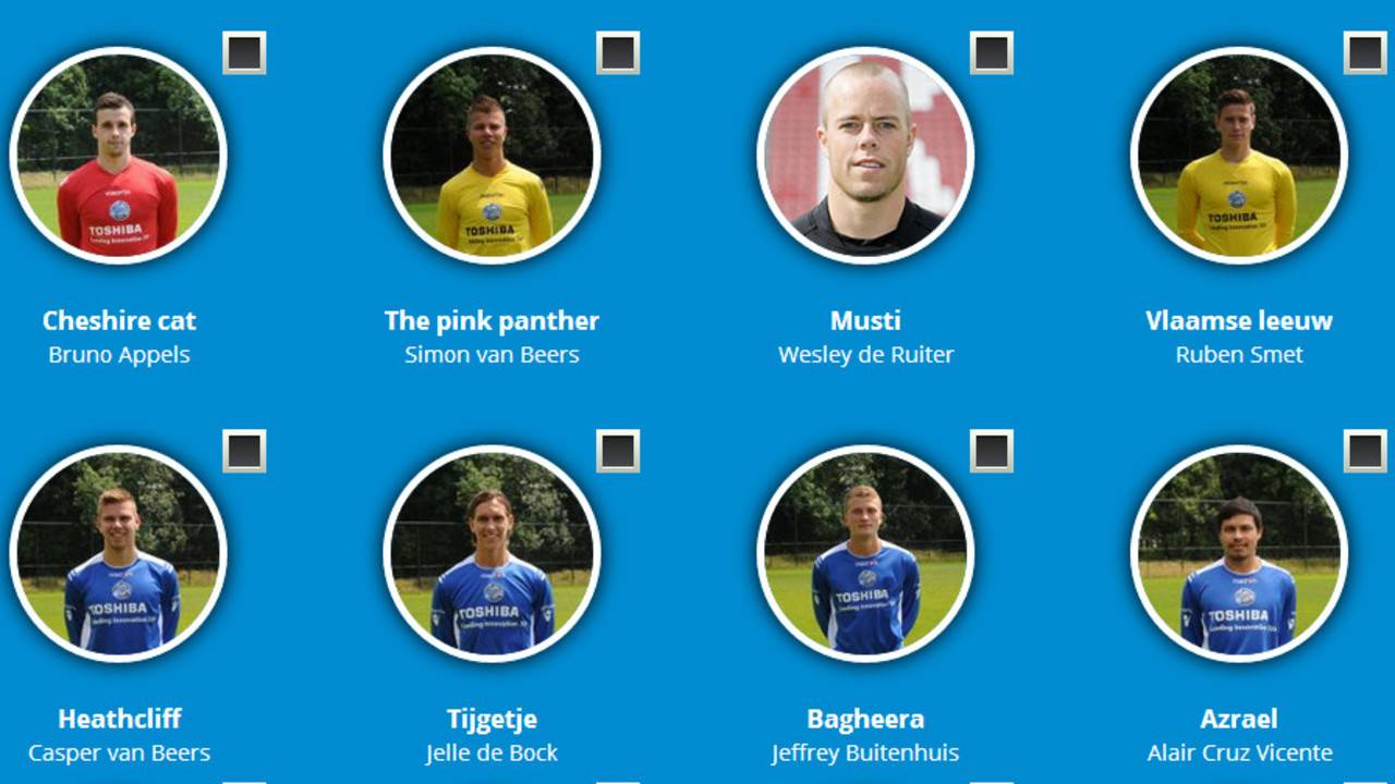 Wordt het The Pink Panther of de Vlaamse Leeuw?