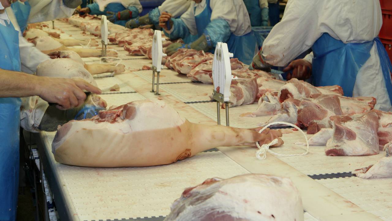 Openheid VION Boxtel over vlees