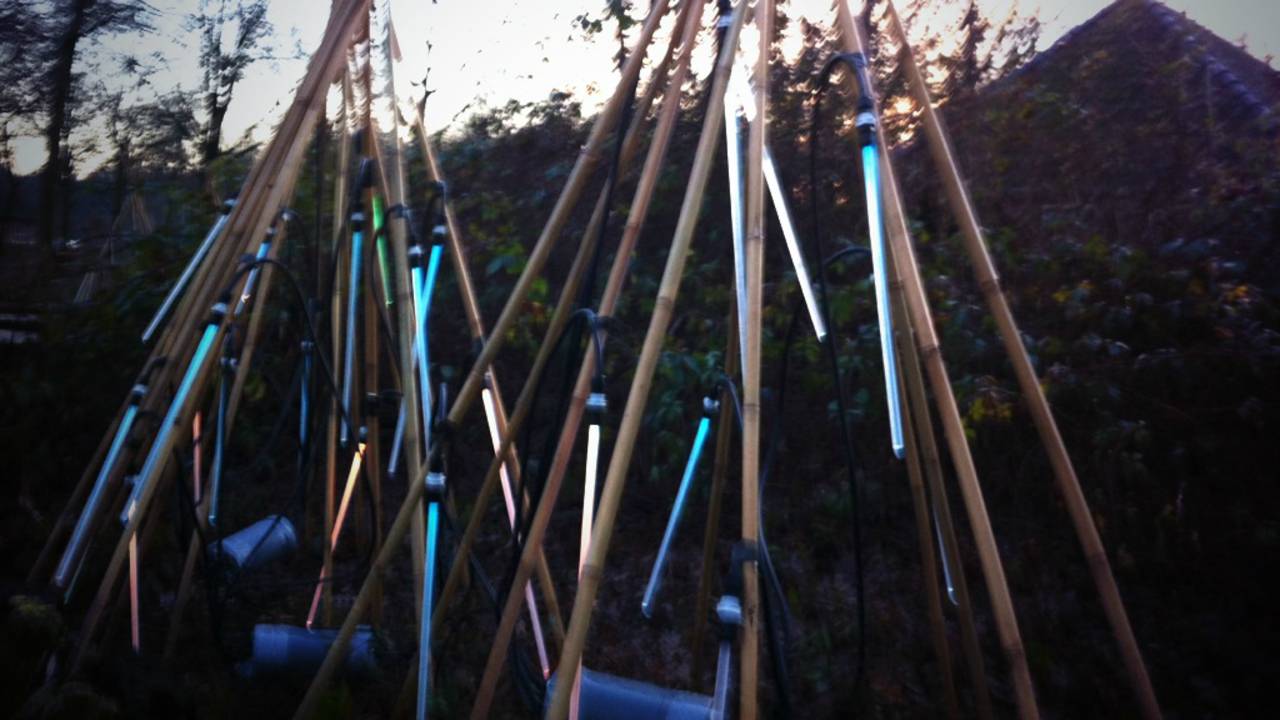 Een voorproefje van Glow in the Forest