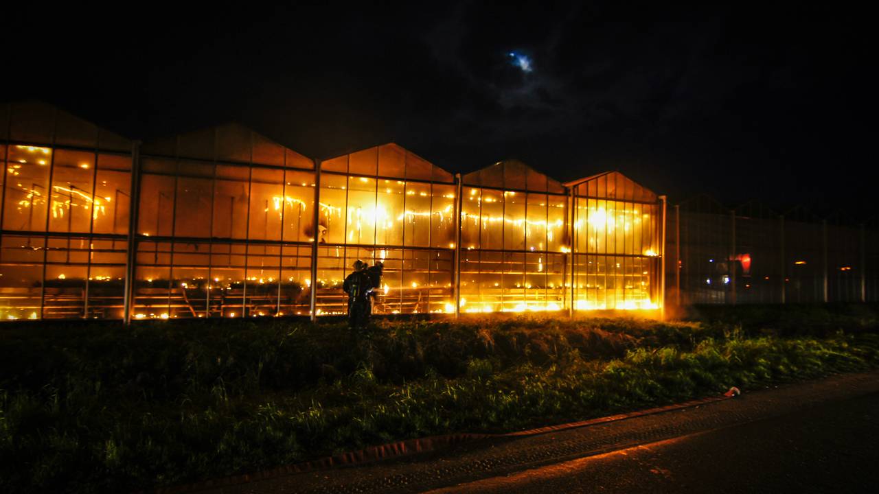 Foto: Bram van Oosterhout (Gwingo Media)