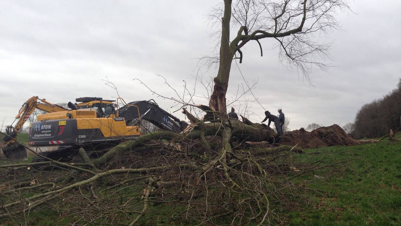 Ga naar slide 3