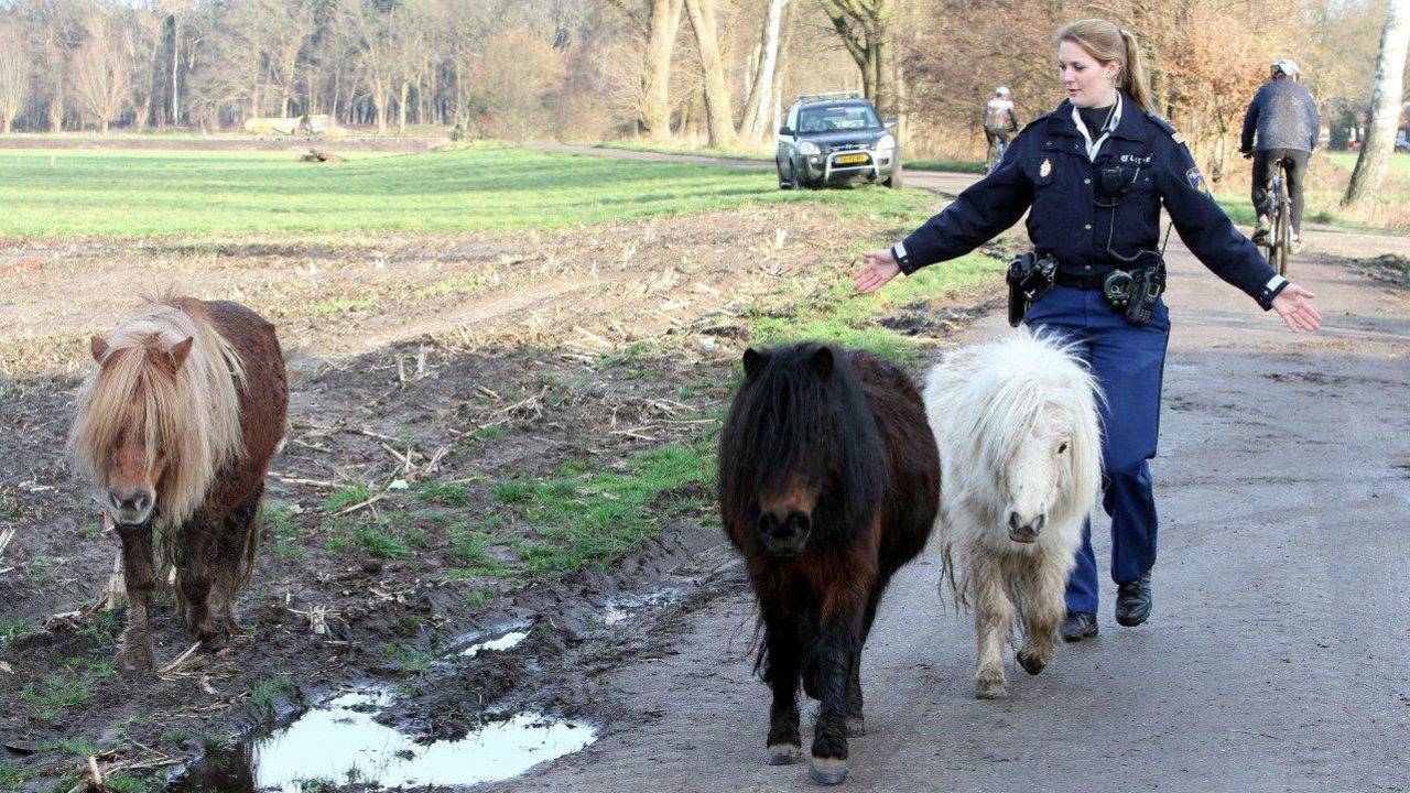 Ga naar slide 1