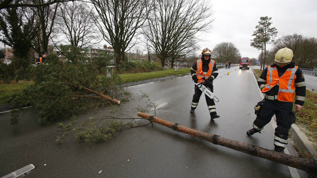 Omgewaaide boom op Tilburgseweg bij Eindhoven hindert verkeer )Foto: Hans van Hamersveld/SQ Vision'