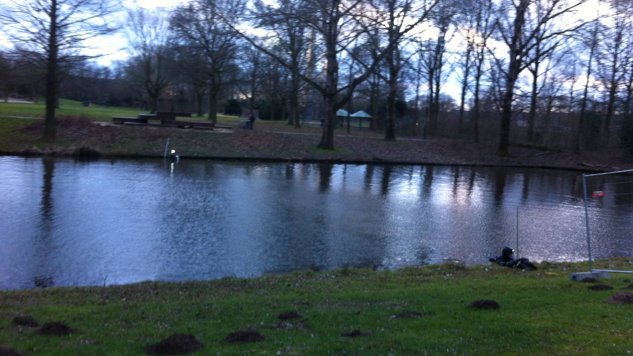 Duikers in het Henri Dunantpark (foto van: Saskia van Huijgevoort)