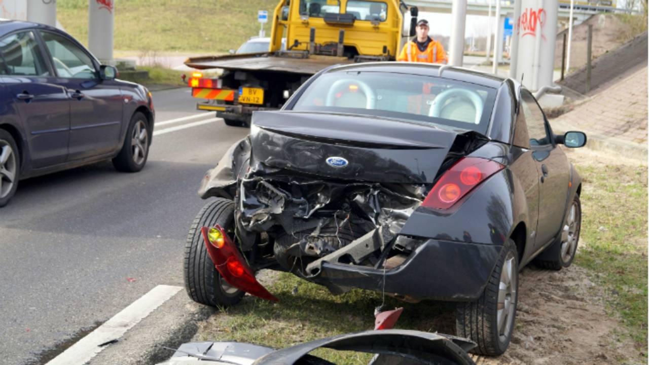 Een automobilist moest plotseling remmen toen de hond de weg overstak. (Foto: Martijn van Bijnen/FPM
