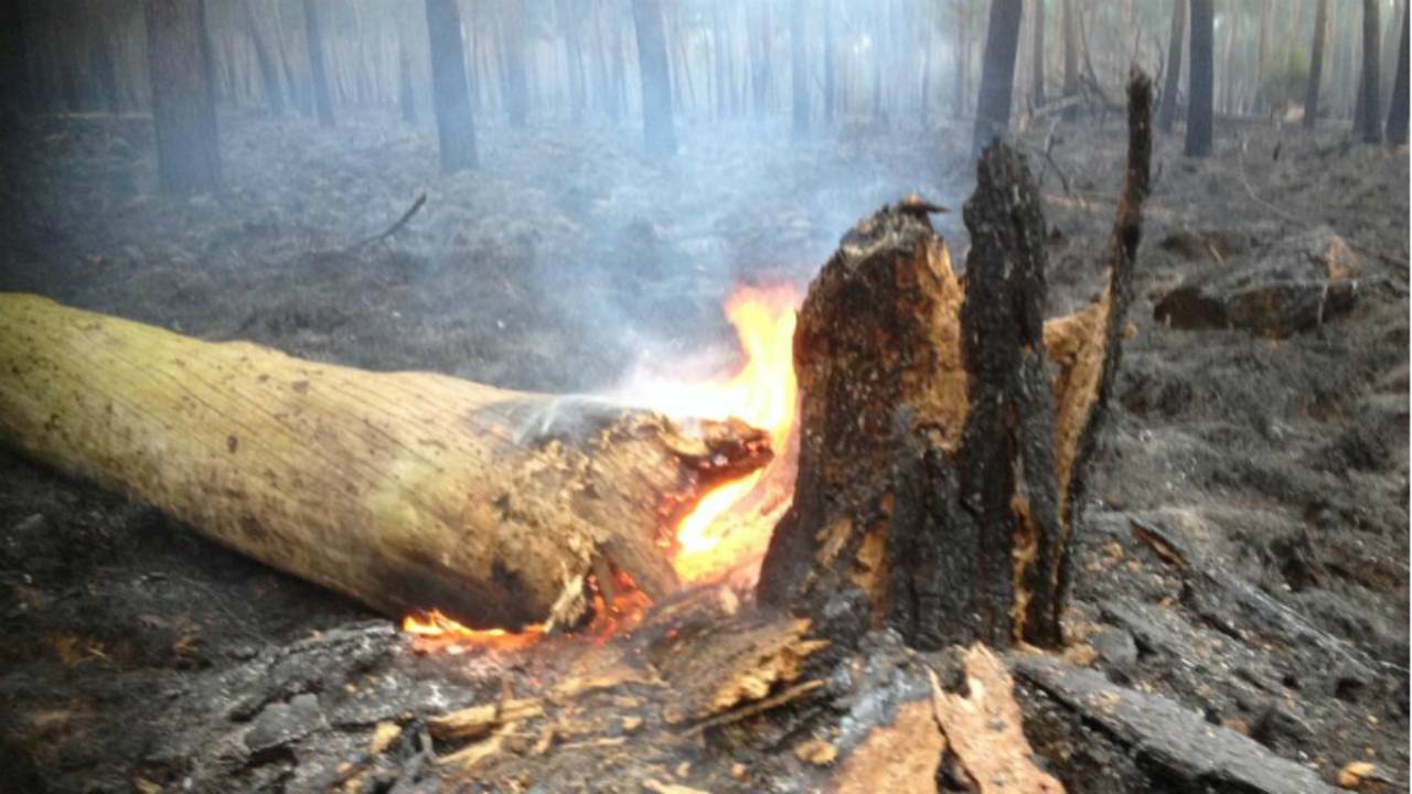 Hoog risico bosbrand houdt aan.