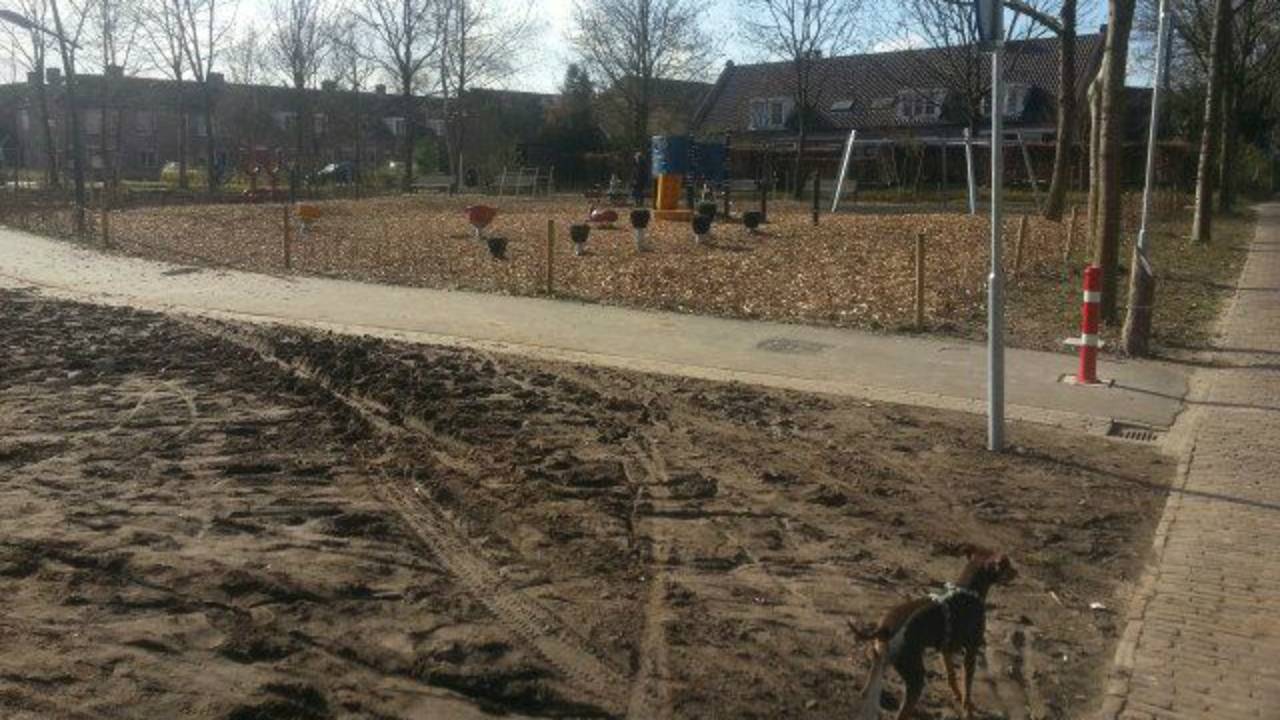 Het Vogelaarspark in Etten-Leur(foto: Danielle van Daal)