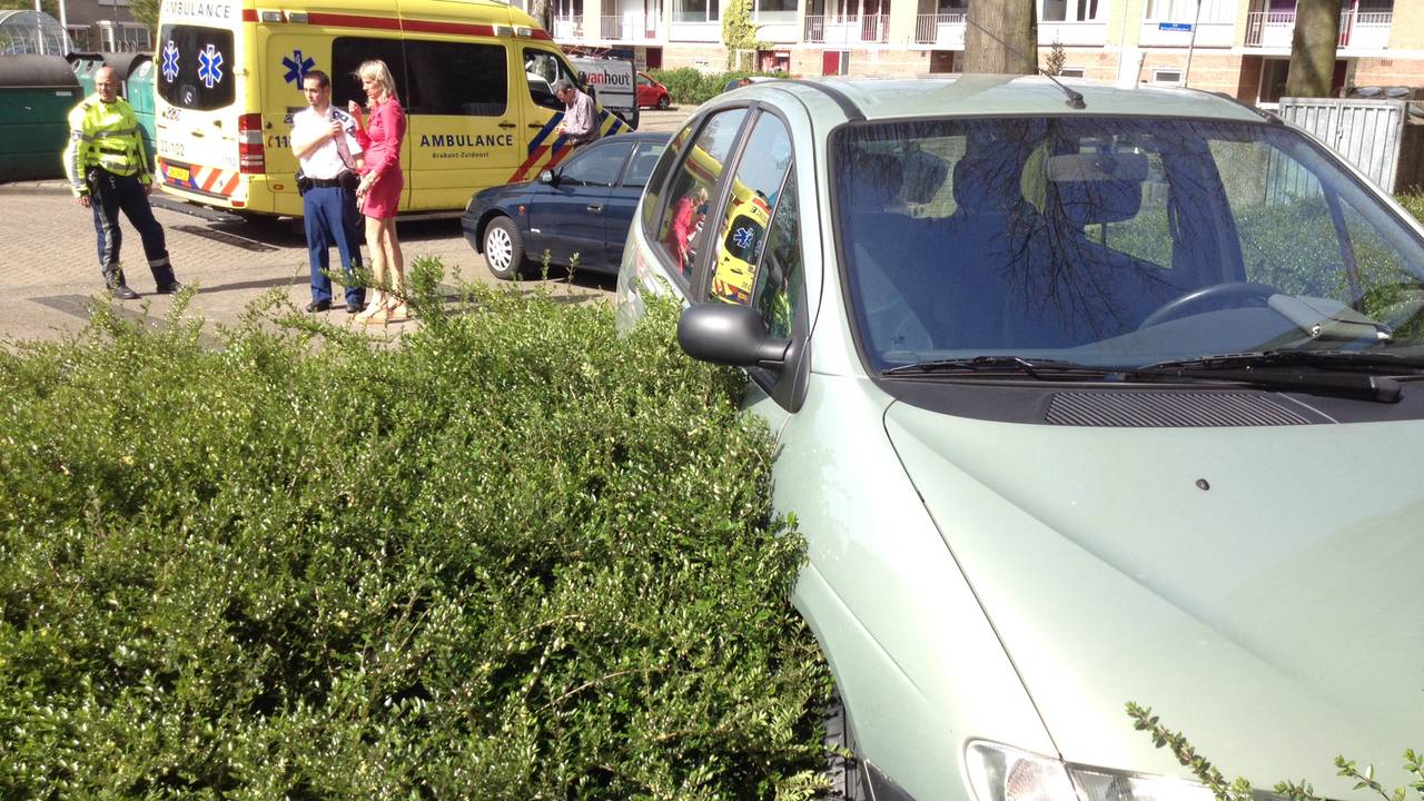 De auto belandde in een perk (Foto: SQ Vision)
