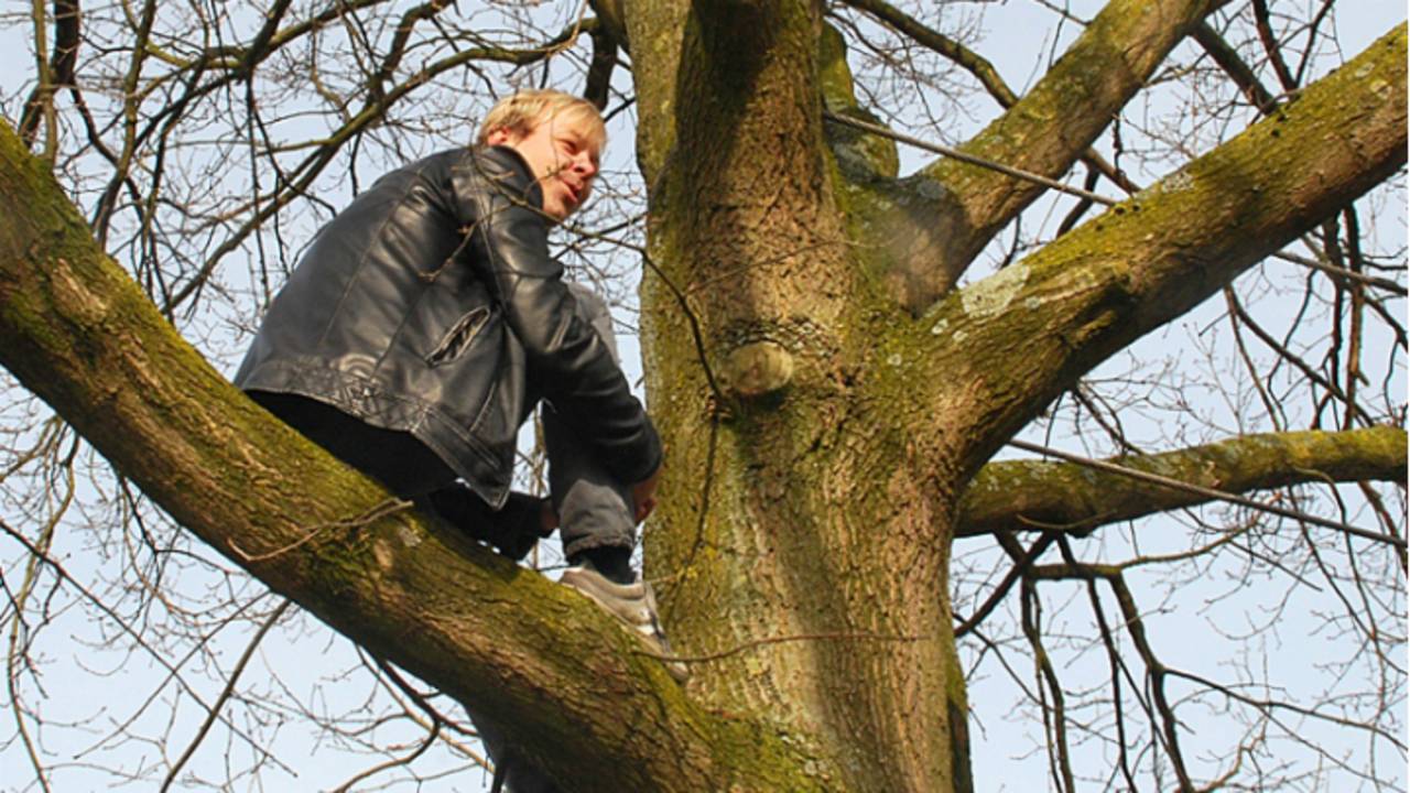 Raf Jansen is in de boom geklommen om kappen tegen te houden in de EIkenpage Breda. (Foto: Rose Lok)