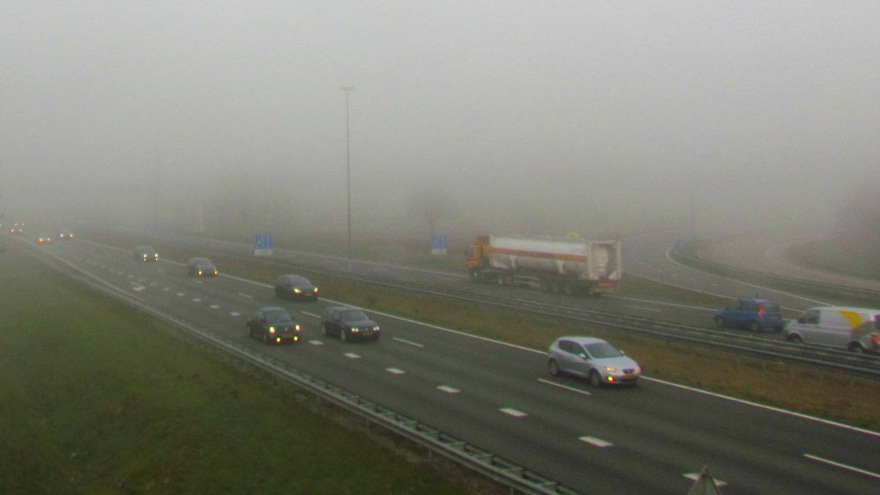 Foto: Margreet van Vianen, Tilburg