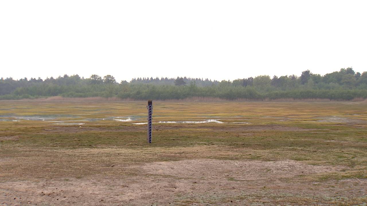 Hier in de Grote en Kleine Meer in Wintelre hoort water te staan